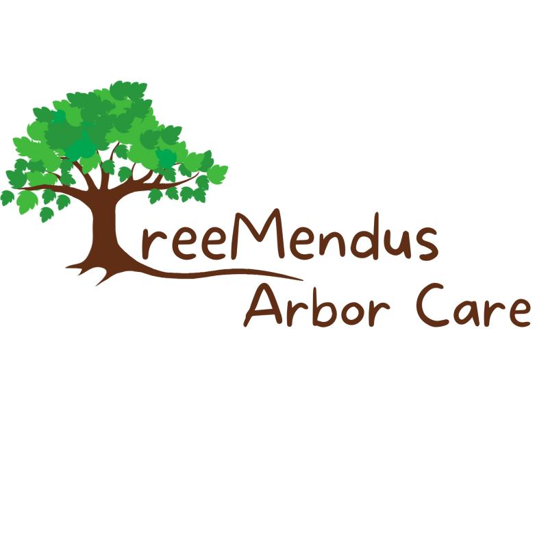 TreeMendus Arbor Care